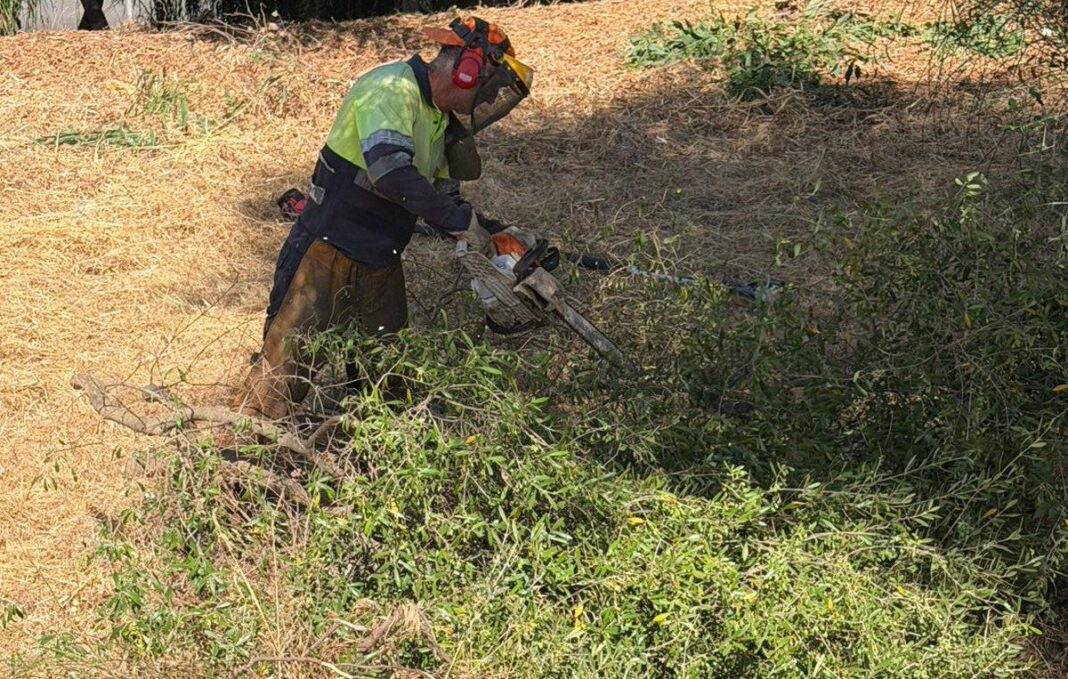 Algeciras desbroza cinco zonas del municipio para reducir el riesgo de incendios en verano
